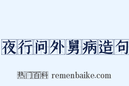夜行问外舅病造句是什么意思的图片